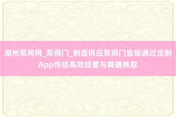 湖州泵阀网_泵阀门_制造供应泵阀门皆能通过定制App终结高效经管与精确换取